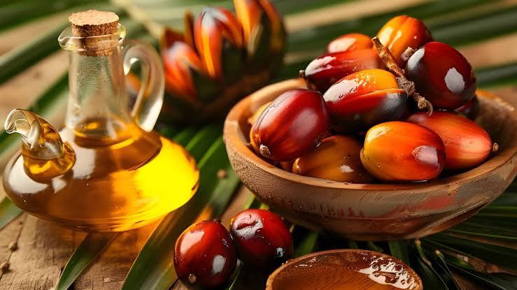 7 Steps to Successfully Export Palm Oil in 2025