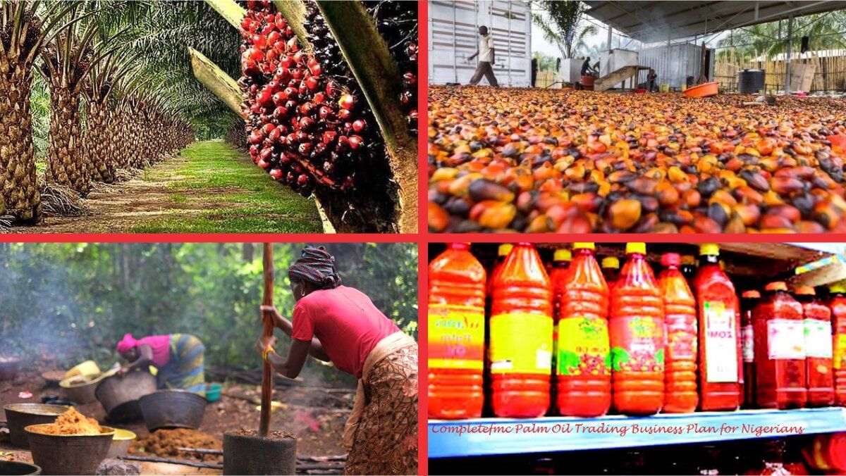 THE RESURGENCE OF PALM OIL IN NIGERIA: A LUCRATIVE EXPORT OPPORTUNITY